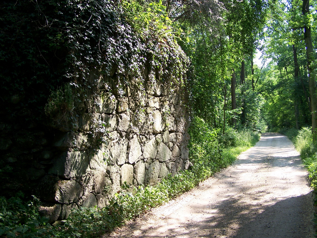 Ponte diroccato nel tratto tra Somma Lombardo e Sesona