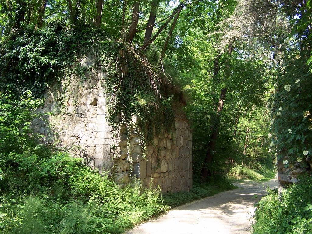 Ponte diroccato nel tratto Somma Lombardo - Sesona